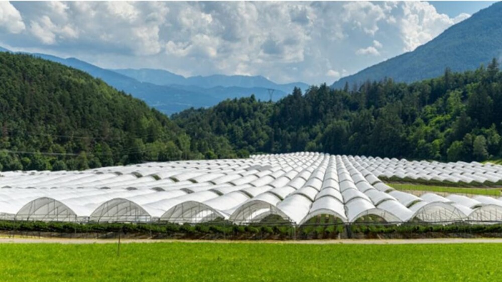 Arrigoni group renueva su identidad visual (1).jpg